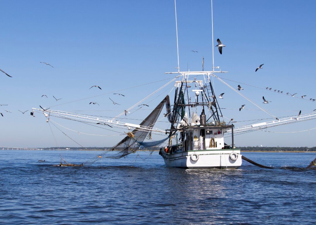 #28. Mississippi